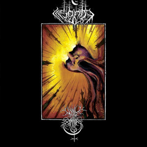 Void Omnia / Insanity Cult Split cover