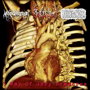 Cover of 3 Way Of Gory New Borns (Gokikaburi part)