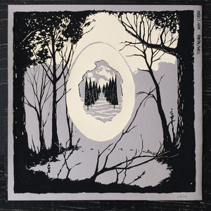 Portal/Well cover