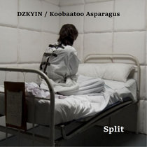Split w/ Koobaatoo Asparagus cover art