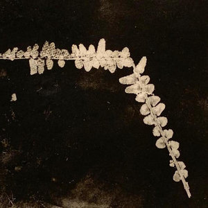 The Valley cover