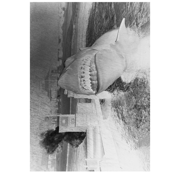 Test Danity Pike test-danity-pike