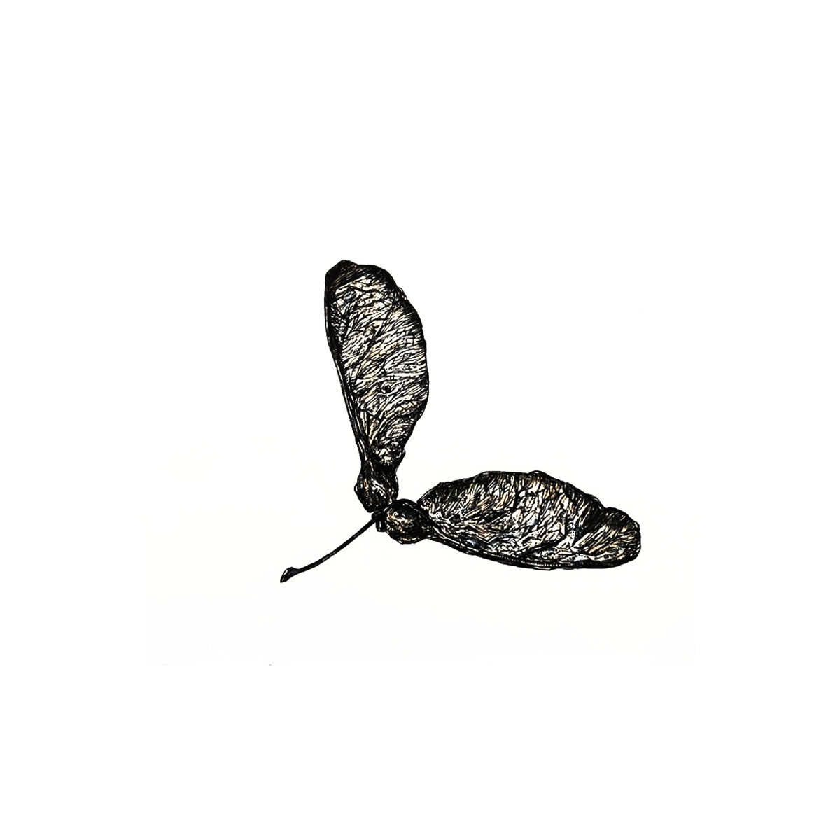 Sycamore EP cover