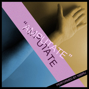 Amputate cover