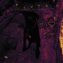 Black Dog cover art