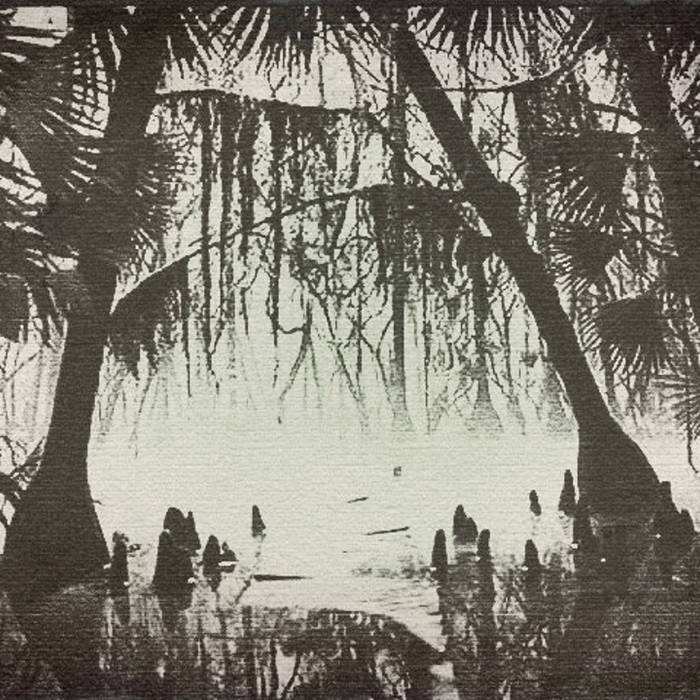 Voodoo Swamp Surfin Stuey Valentoni voodoo swamp surfin