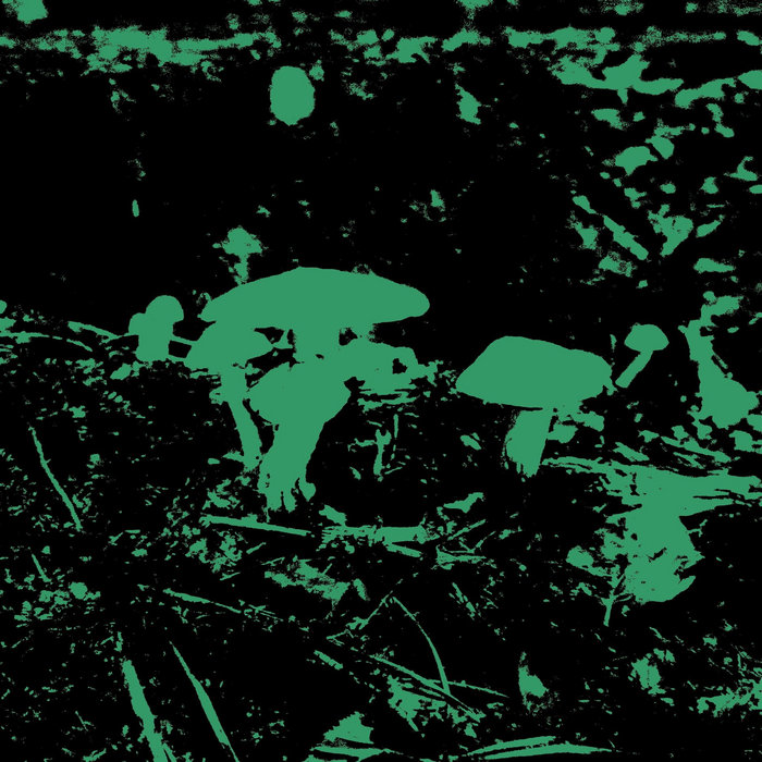 Songs in the Language of Mushrooms | L.S. | Lila Starless