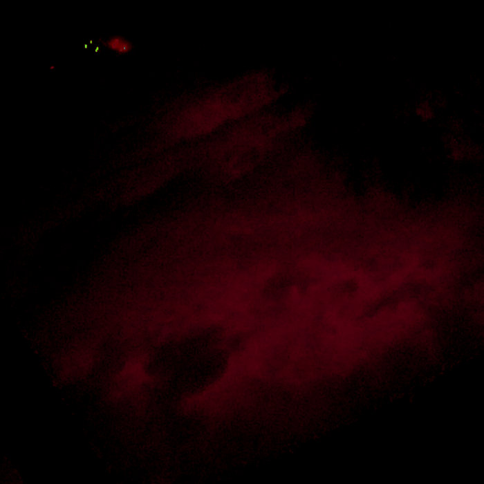 Bowling Alley Oceaning