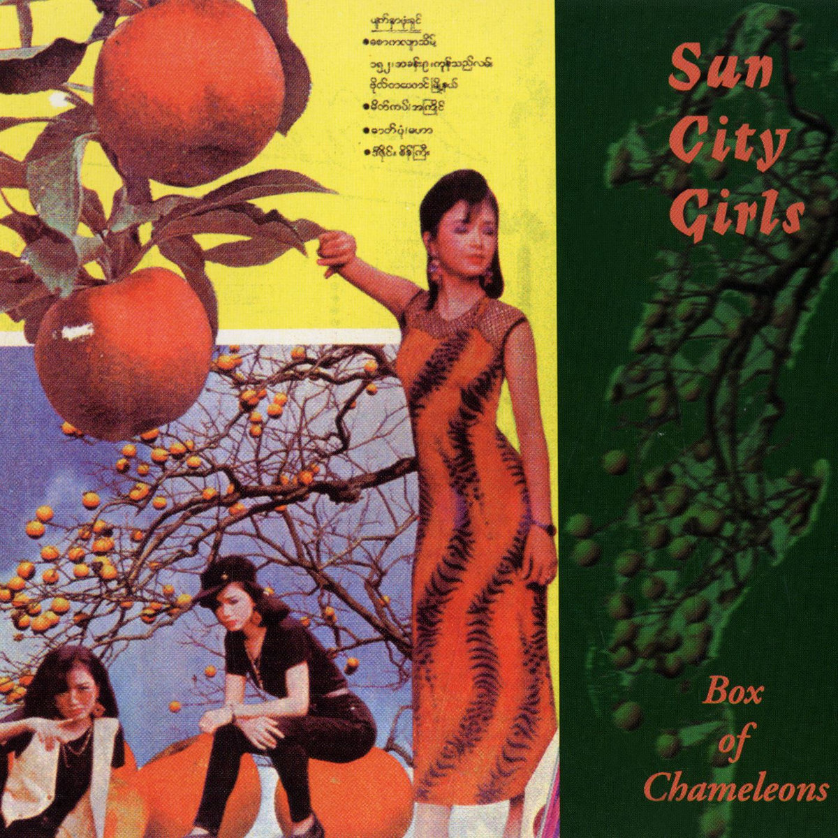 洋楽 Sun City Girls Bright Surroundings Dark Bright Surroundings Dark Beginnings | Sun City Girls | Abduction