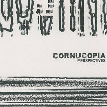 Perspectives cover art