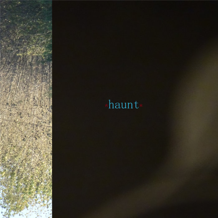 *haunt* | Cameron Ralston