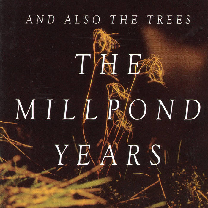 The Millpond Years | And Also The Trees