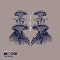 Burnski — Division
