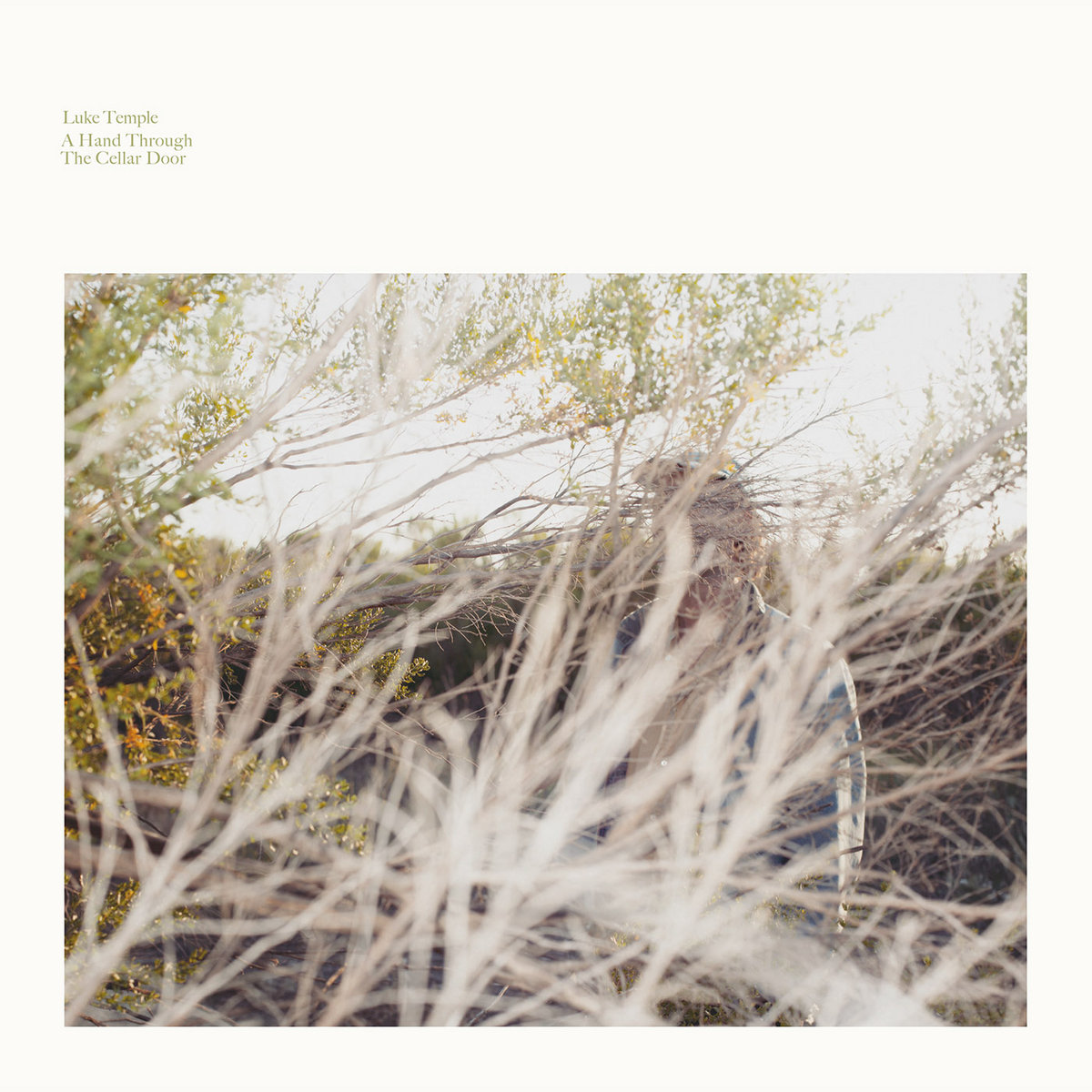 A Hand Through The Cellar Door Luke Temple