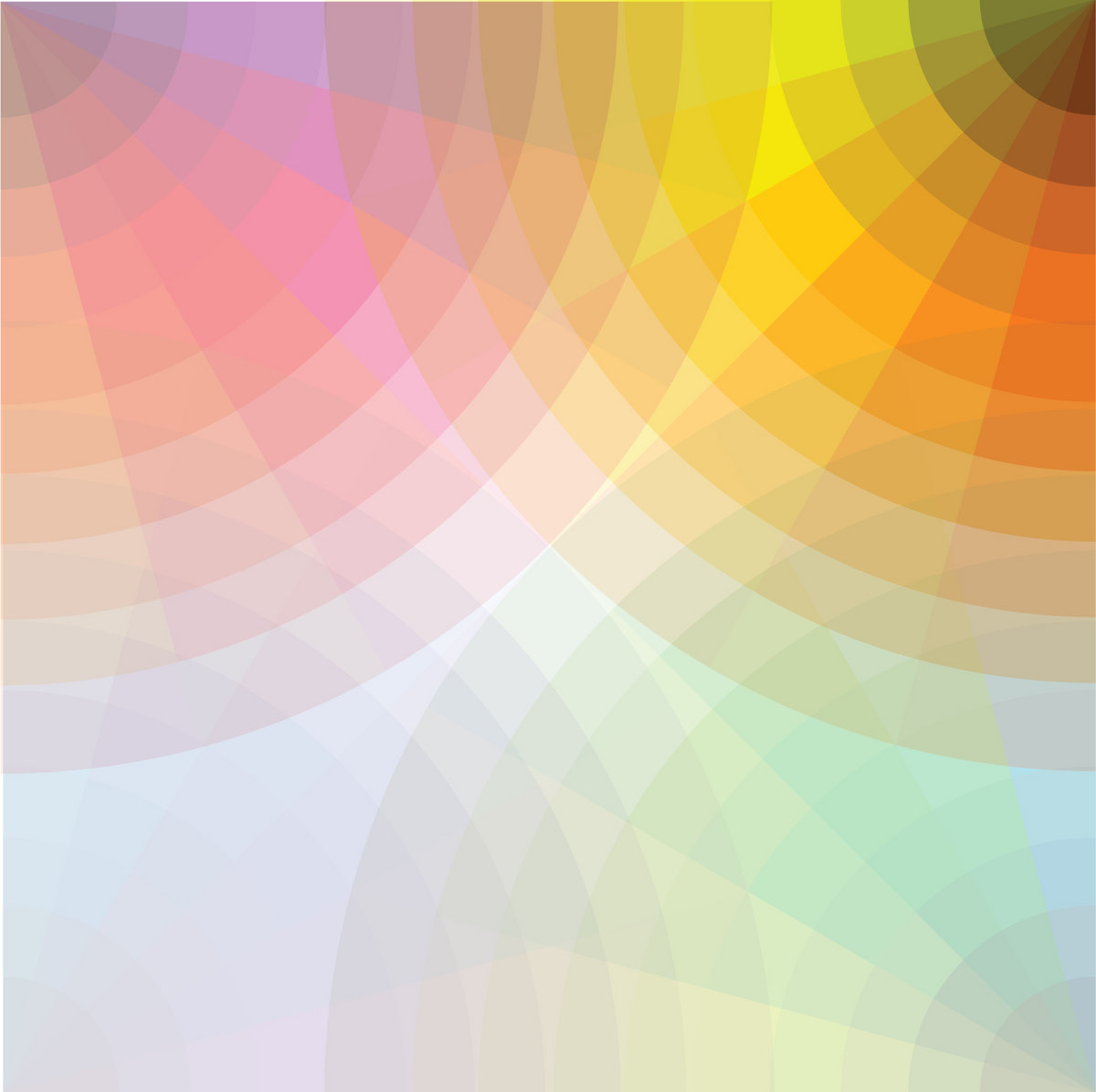 2003-2013_P3_06-08 cover