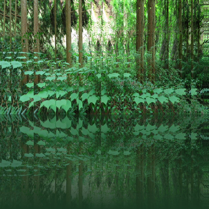 Force Field Mat Force Fields | Mat Watson