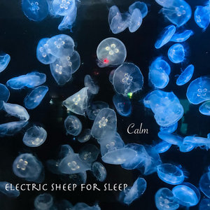 Electric Sheep for Sleep cover