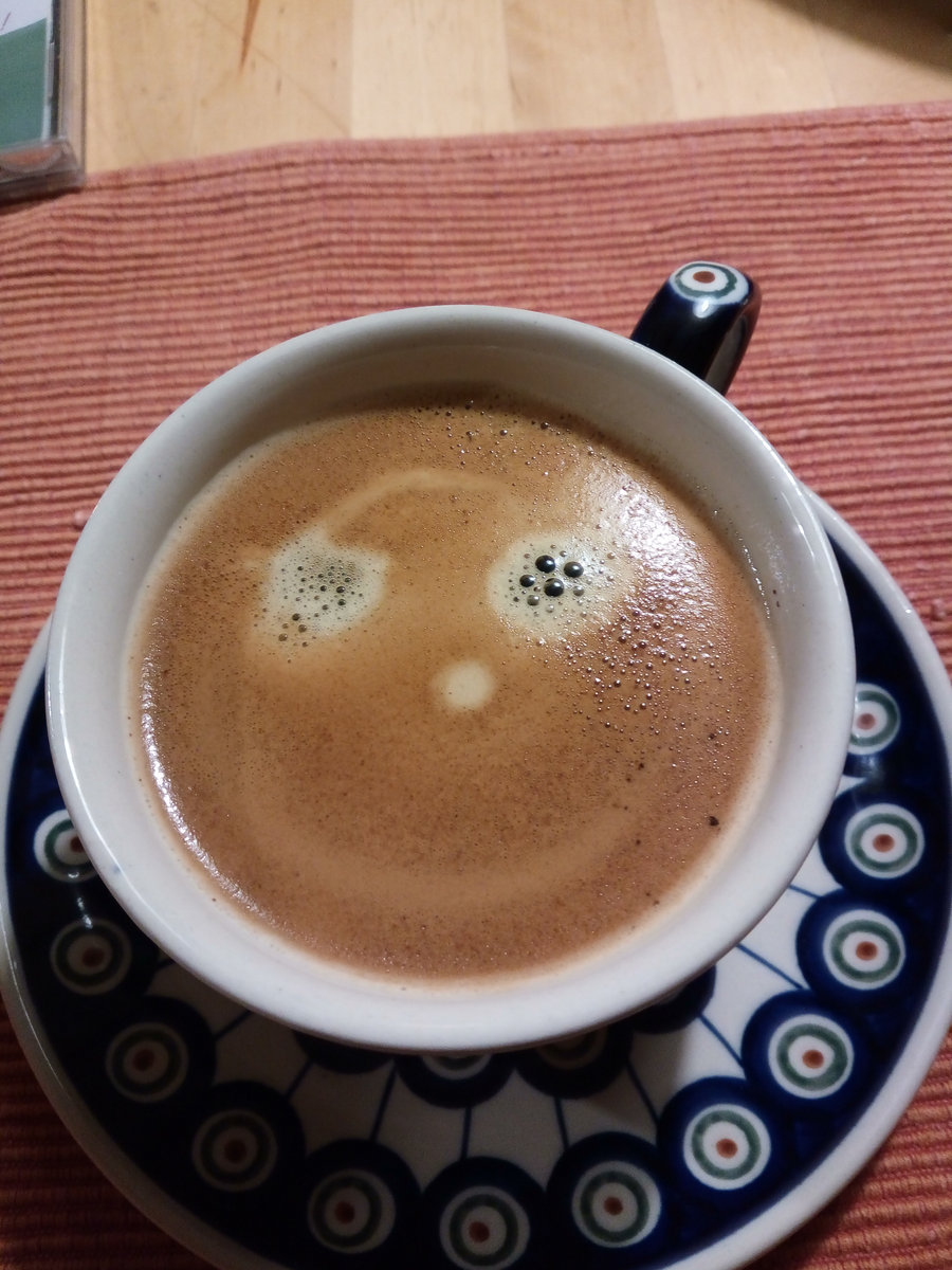 single cafe kassel