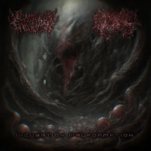 INCUBATION MALFORMATIONVentricle Implosion / Divinite Hive cover