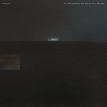 Roy Montgomery & Martha Skye Murphy — Nebular