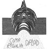 Diploid/Coma Regalia Split