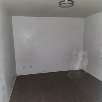 Direct Denial of Service (i am incapable of being a human)