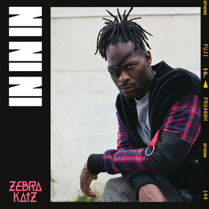 Zebra Katz — IN IN IN