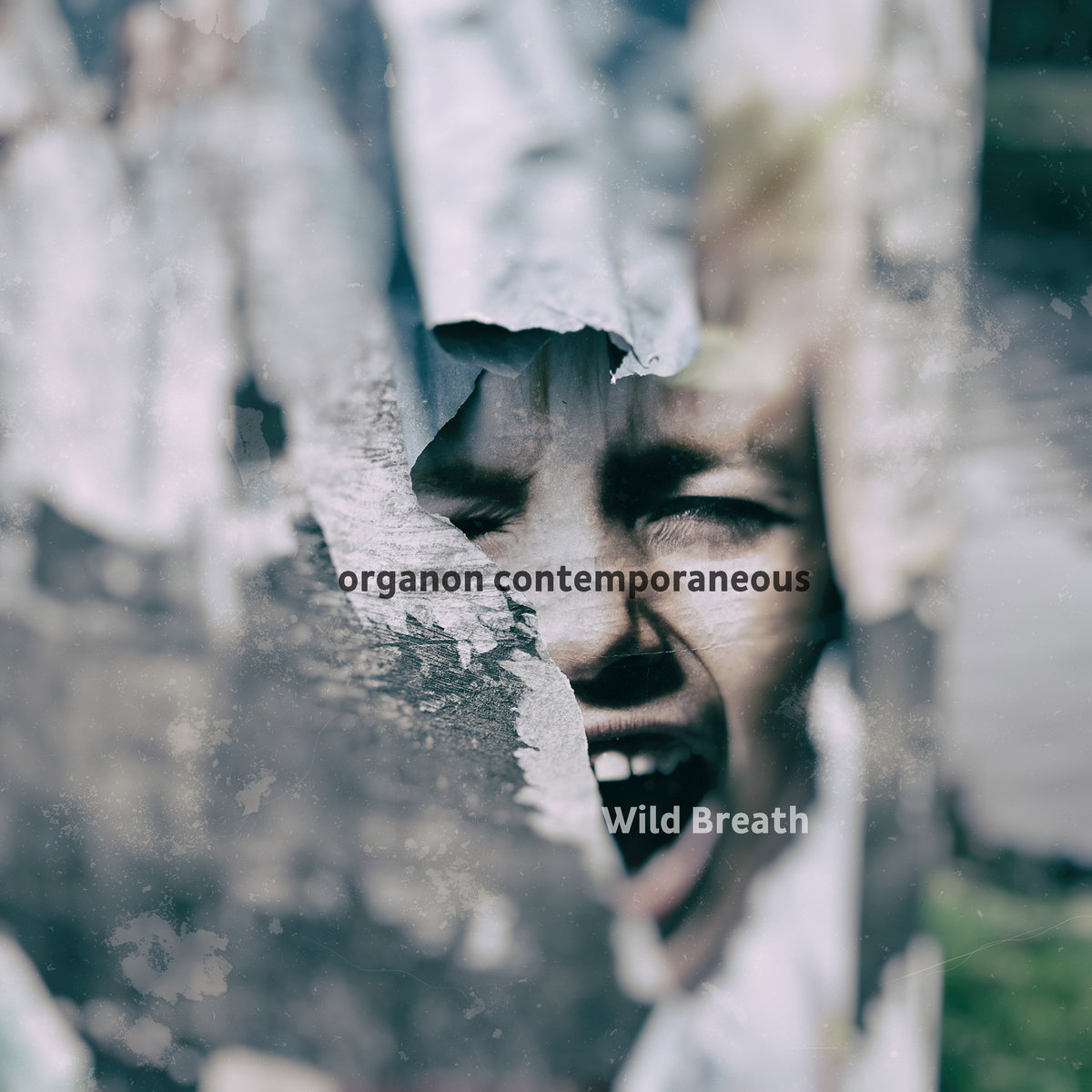 organon contemporaneous – Wild Breath organon contemporaneous – Wild Breath