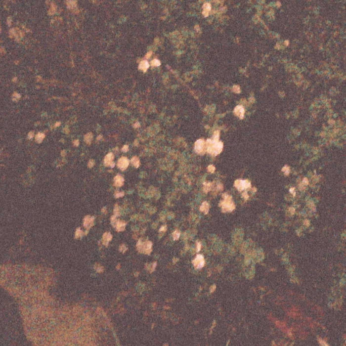 cirrous' collection | Bandcamp