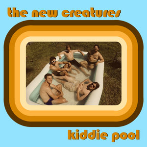 Kiddie Pool cover