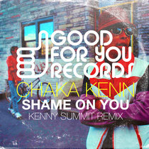 Shame On You (Kenny Summit Remix) cover art