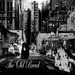 The Old Breed/Squared Off split cover