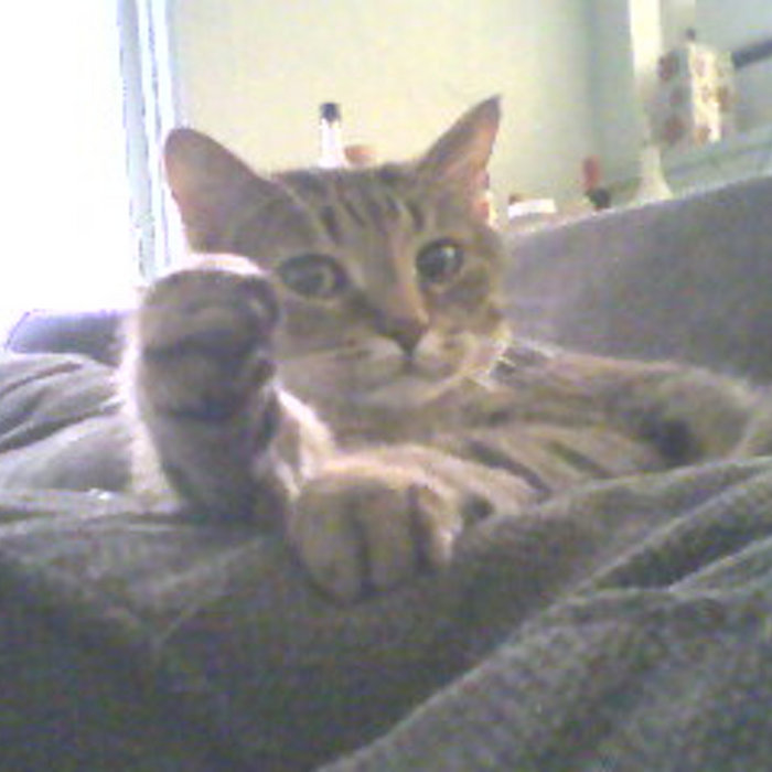 The Ginger Group the Ginger Group toby summerfield