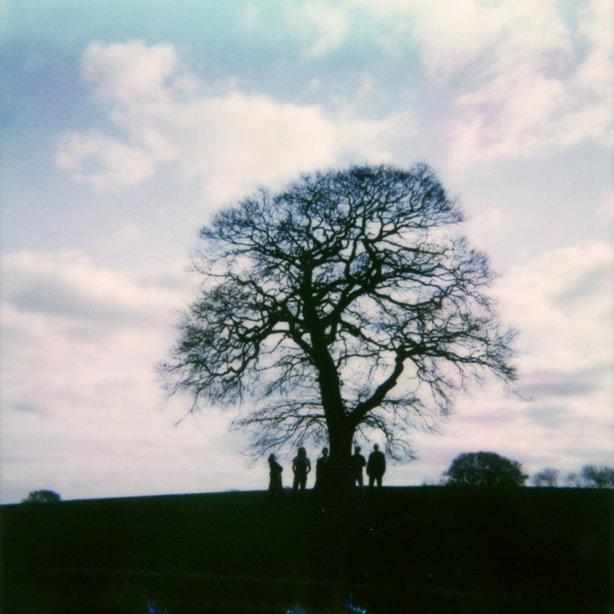 The Big Trees, The Little Trees Team Picture