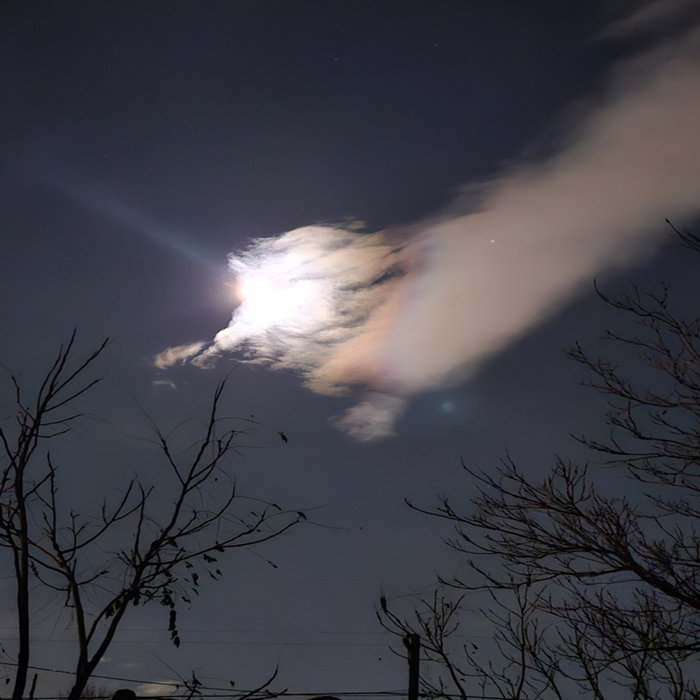 The Secret Behind Bingomania That Hides a Complete Mental Collapse