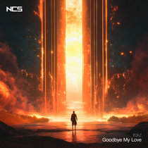Irokz — Goodbye My Love