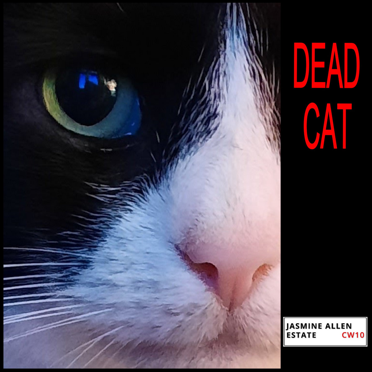 Dead Cat Jasmine Allen Estate