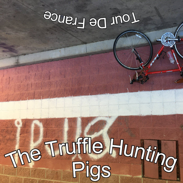 Tour De France The Truffle Hunting Pigs