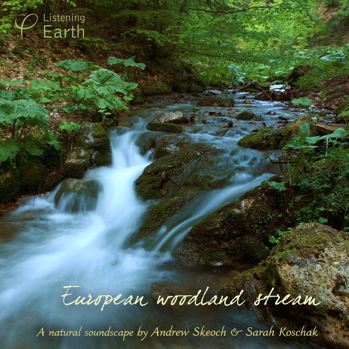 Europe Streams European Woodland Stream | Andrew Skeoch