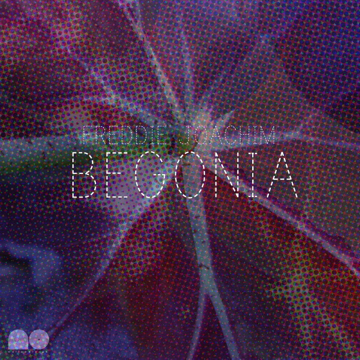 freddie joachim begonia freddie joachim begonia