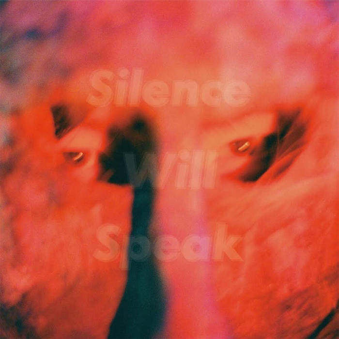 【1st Press LP】GEZAN Silence Will Speak Silence Will Speak | GEZAN