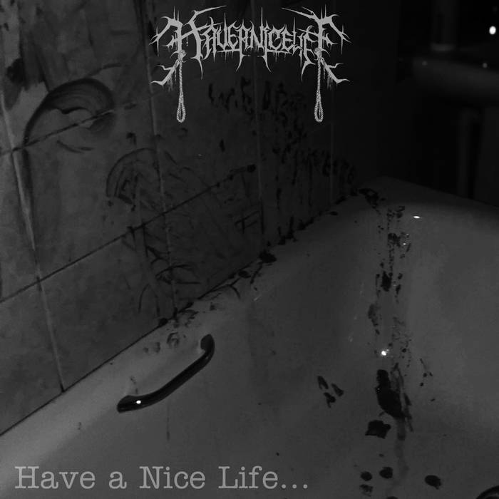 Have a nice life | Have a nice life