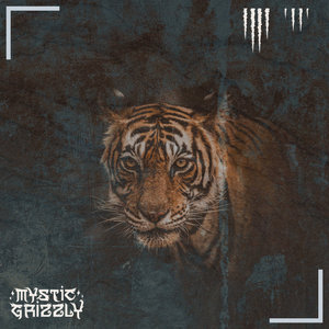 Tiger Flow cover
