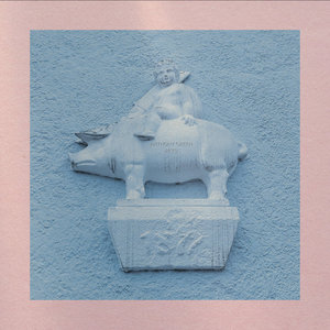 Pets cover