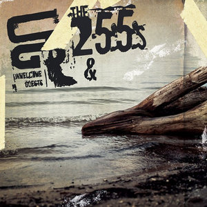 255s Split cover