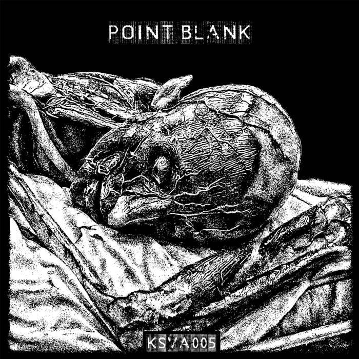Point Blank Free Download