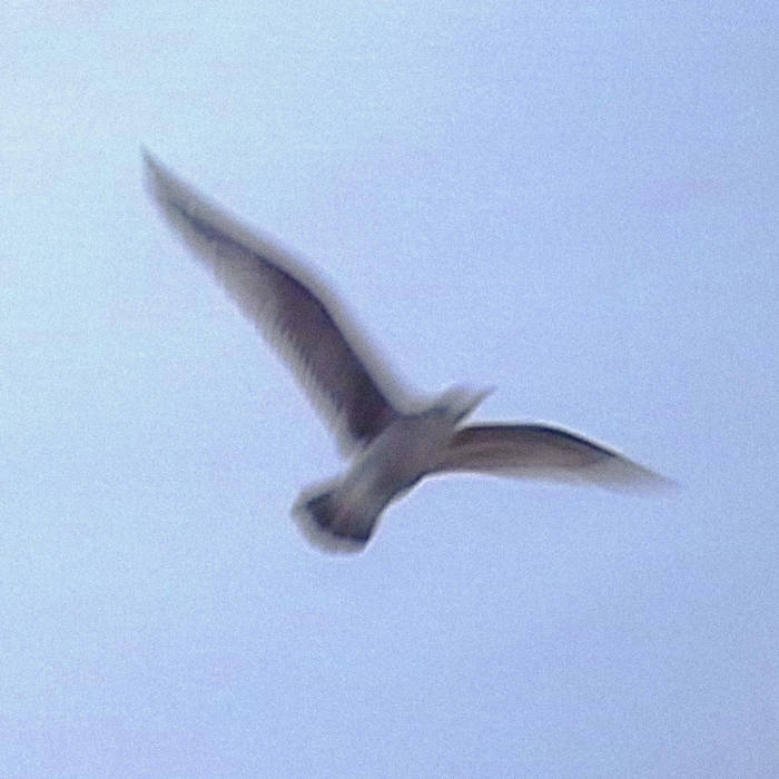 ”7●RF THNX4DILLA LOVE THEME Spartacusカヴァ 7○RF THNX4DILLA LOVE THEME Spartacusカヴァ 2025年最新】Love theme