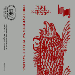 Coup Sur Coup Split Series Volume IIIPure Love Eternal Peace / Tarlung cover
