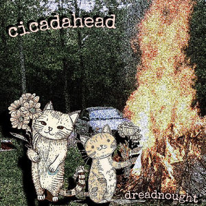 cicadahead — dreadnought