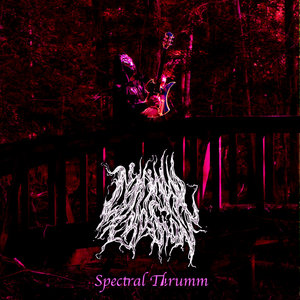 Liminal Erosion — Spectral Thrumm
